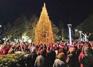 Άναψε το Χριστουγεννιάτικο Δέντρο στη Νέα Φιλαδέλφεια – Νέα Χαλκηδόνα