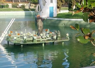 Σε εξέλιξη η επαναπλήρωση της λίμνης του Άλσους Νέας Φιλαδέλφειας ενόψει του Καθαγιασμού των Υδάτων