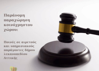 Παράνομη παραχώρηση κοινόχρηστου χώρου: Ποινές σε αιρετούς και υπηρεσιακούς παράγοντες δήμου λεκανοπεδίου Αττικής