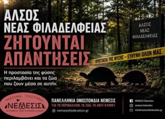 Άλσος Νέας Φιλαδέλφειας: Νέες αντιδράσεις για τους θανάτους ζώων κατά τον καθαρισμό – Η ΝΕΜΕΣΙΣ ζητά απαντήσεις