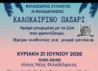 Καλοκαιρινό Παζάρι Αγάπης από τον Φιλοζωικό Σύλλογο Νέας Φιλαδέλφειας – Στηρίζουμε όσους στηρίζουν τα αδέσποτα