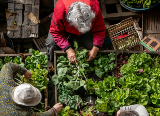 UrbanFood στη Νέα Φιλαδέλφεια Νέα Χαλκηδόνα: Ποιοι θα πάρουν τις θέσεις των 2.100€/μήνα